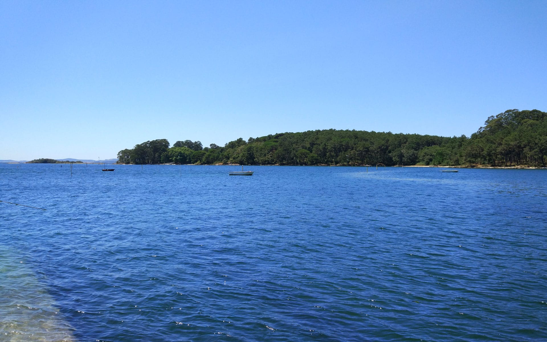 Isla de Cortegada en Carril