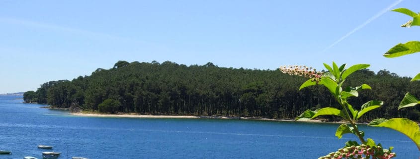 Isla de Cortegada